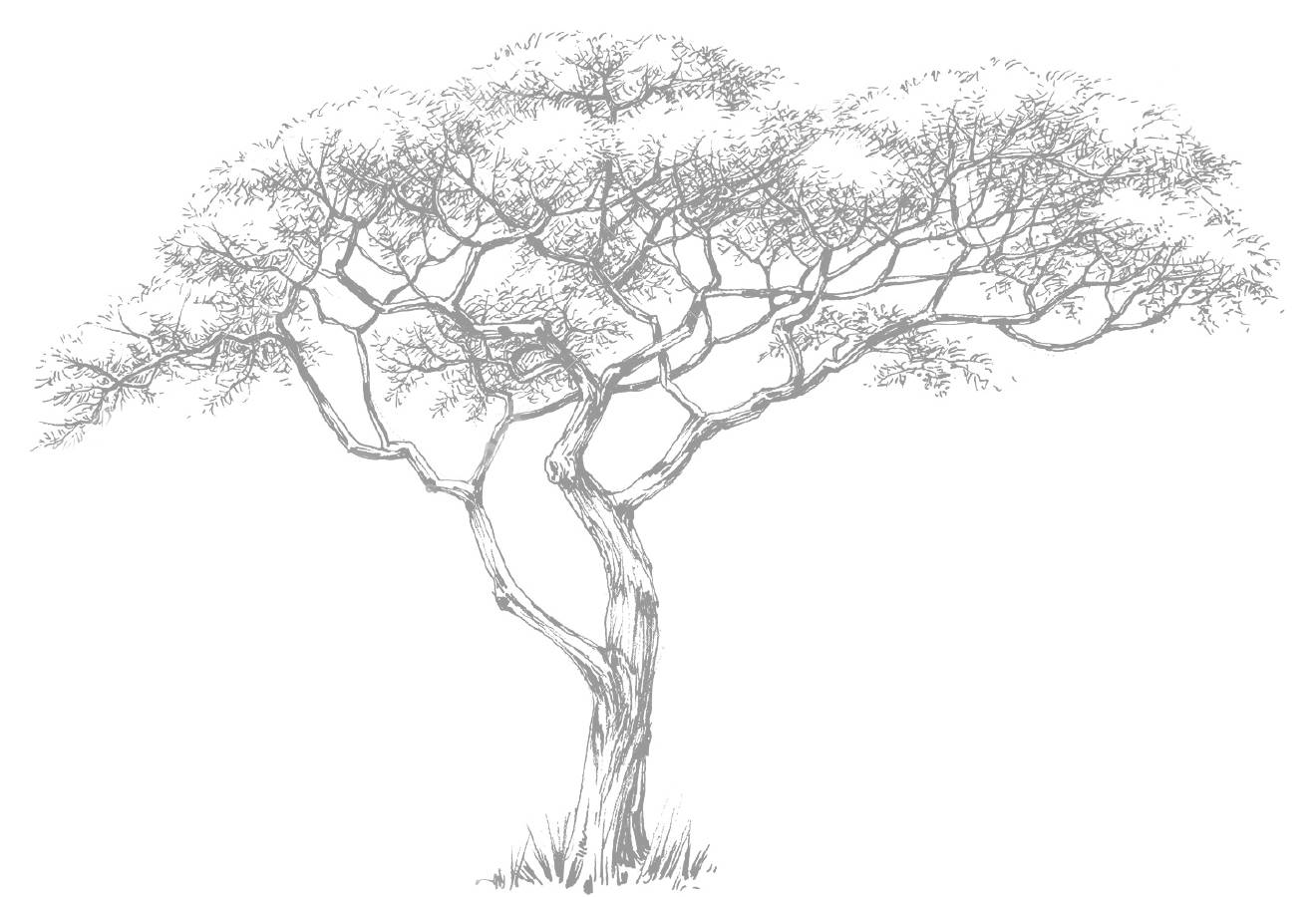 Главная Главная