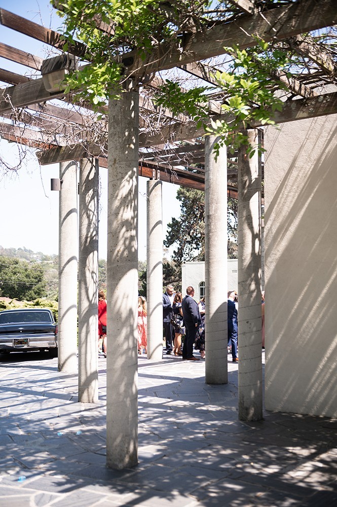 My Big Greek Wedding!