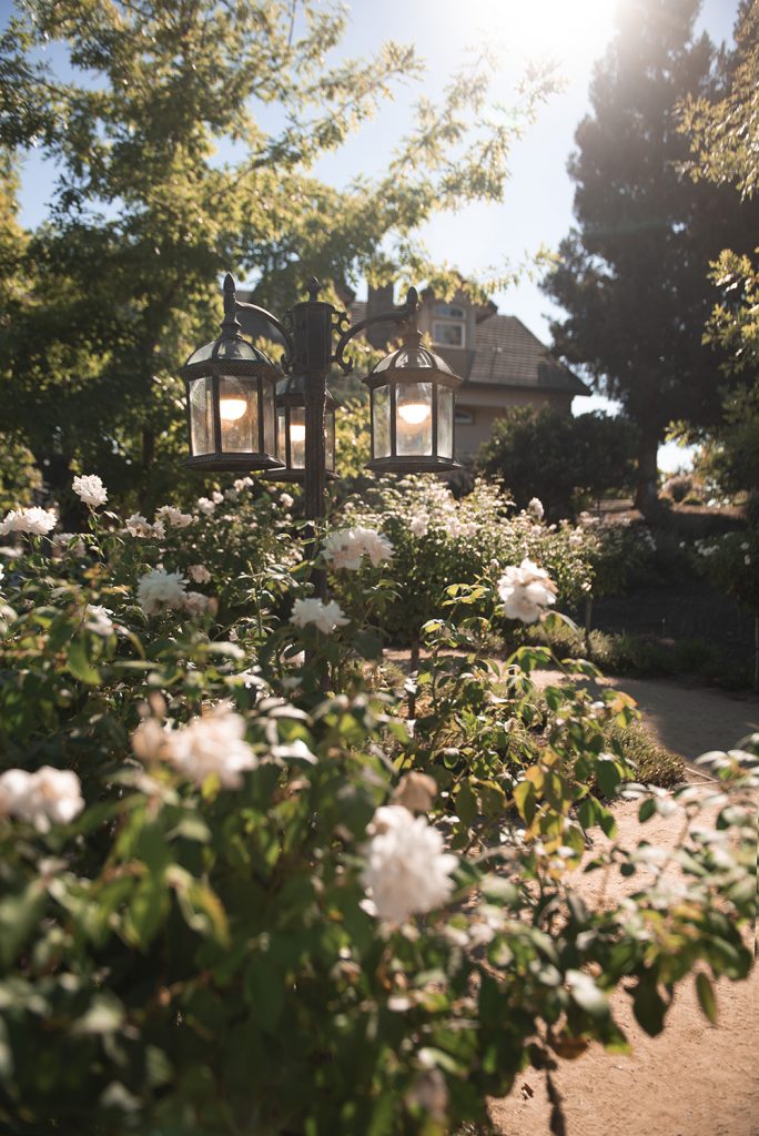 Nashville wedding photographer capturing a romantic portrait of the bride and groom in Nashville, TN. Nashville wedding photographer documenting an elegant wedding ceremony at a Nashville venue. 